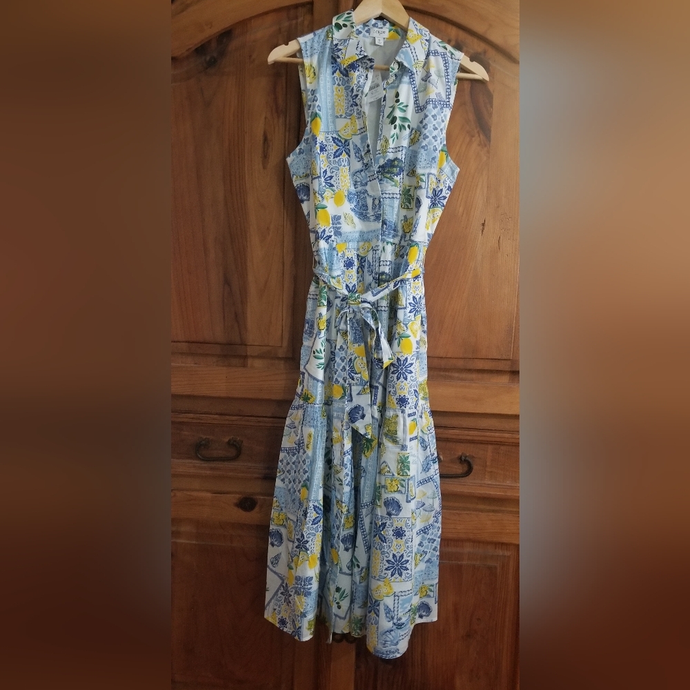 Sleeveless Blue & Yellow Lemon Print Tie-Waist Summer Dress